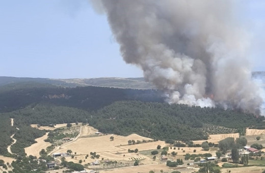 Çanakkale'de orman yangını! Bölgedeki köylülere uyarı: "Teyakkuzda olun"