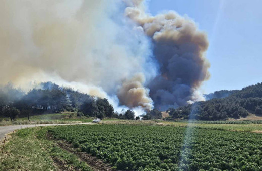 Çanakkale'deki yangında bir köy boşaltıldı