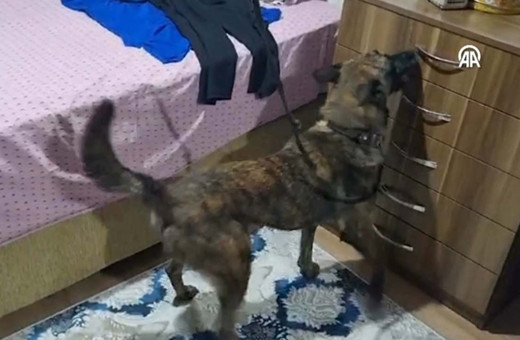 Antalya'da uyuşturucu operasyonu: 89 kişi yakalandı