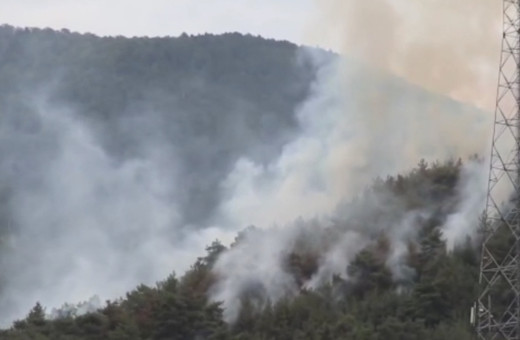 Yıldırım düşmesi sonrası çıkan yangına müdahale sürüyor