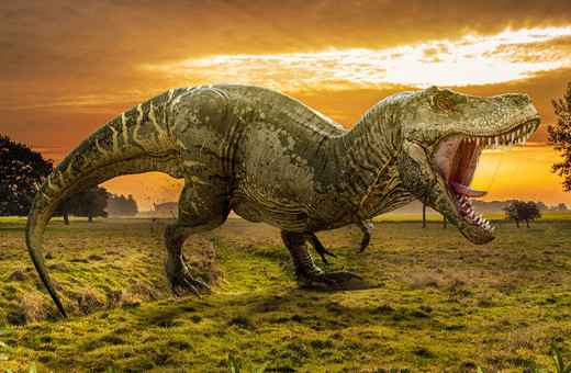 İngiltere'de yeni bir dinozor türüne ait fosil bulundu