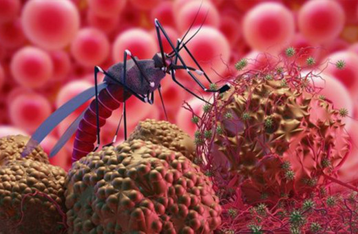 İsrail'de Batı Nil Virüsü'nden ölenlerin sayısı 31'e ulaştı