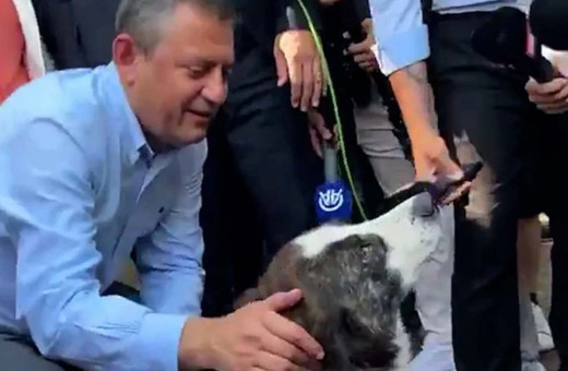 Özgür Özel sokak köpeğiyle konuştu: Meclis'i duyunca...