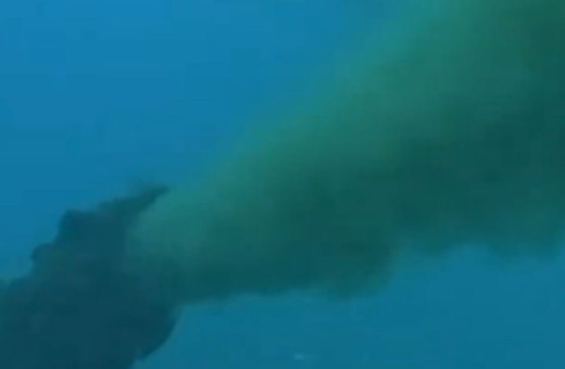 CHP'li Antalya Büyükşehir suçüstü yakalandı! Ceza kesildi Bakanlık, görüntüleri paylaştı