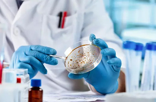 40 milyon kişi hayatını kaybedecek, hiçbir ilaç fayda etmeyecek! Dünya alarmda