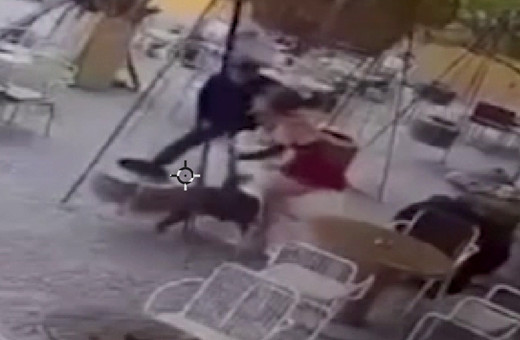 İstanbul'da pitbullun sahipli köpeğe saldırma anı kamerada