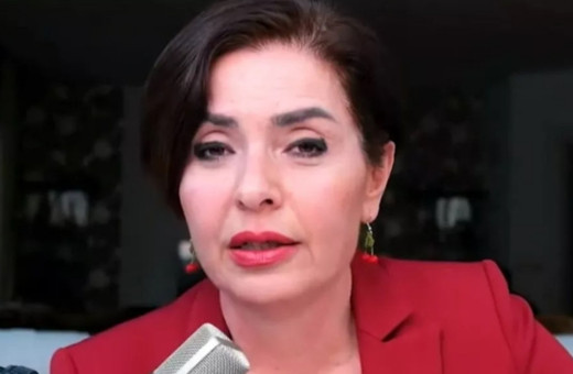 TSK sözleri sonrası Özlem Gürses gözaltına alındı