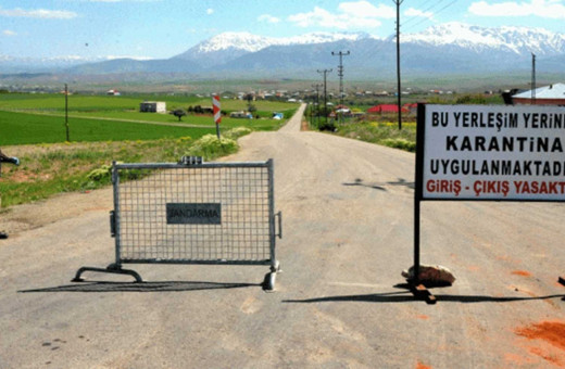 Hatay'da kuduz alarmı: Bir mahalle karantinaya alındı