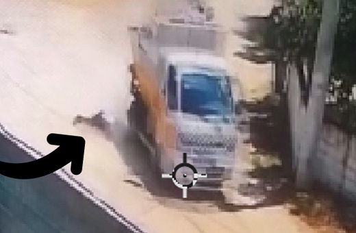 Aydın'da feci görüntü! Temizlik işçisi çöp kamyonetinden düştü