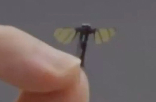 Çin'de sivrisinek boyutunda keşif ve muharebe İHA'sı geliştirildi