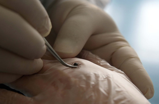 Bu sene çok fazla her gün bir ölüm haberi var! Milli sporcunun annesi keneden öldü