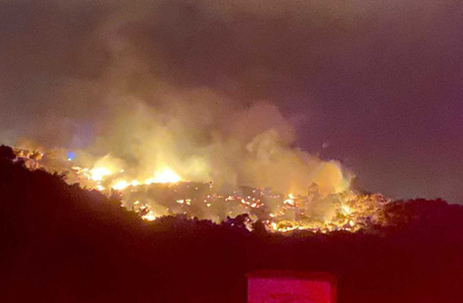 İzmir'deki orman yangını nedeniyle 20 ev tahliye edildi