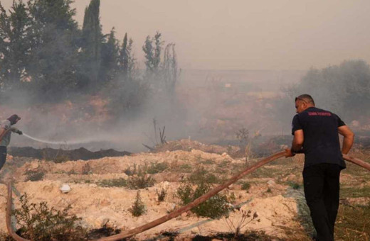 İzmir'de ziraat alanı yangını ormana sıçradı