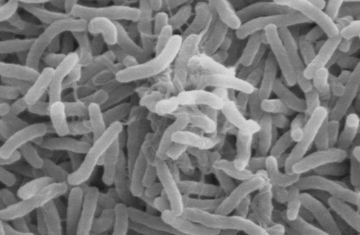 Sudan’da kolera salgını büyüyor: 96 binden fazla vaka