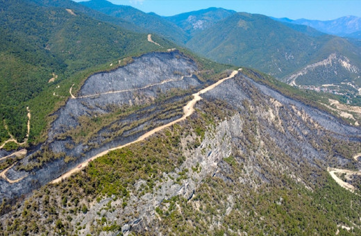 Karabük'te ormanlık alan küle dönmüştü! Hasar havadan görüntülendi