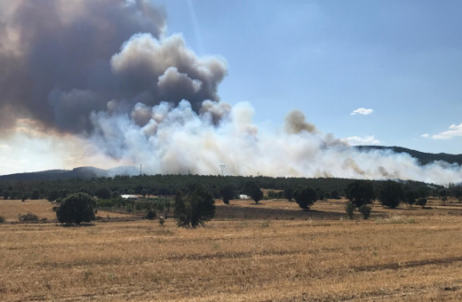 Uşak'ta ormanlık alanda yangın çıktı! Ekipler müdahale ediyor