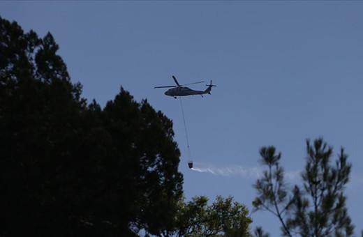 İzmir'de yeni orman yangını çıktı!