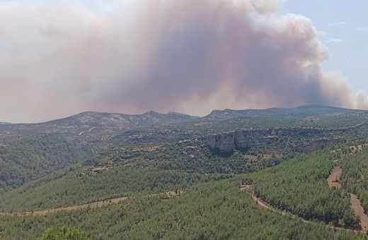 Mersin'de ormanlık alanda yangın çıktı
