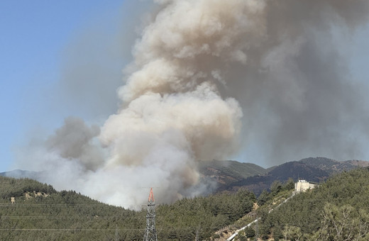 Osmaniye'de orman yangını çıktı! Yerleşim yerlerine çok yakın