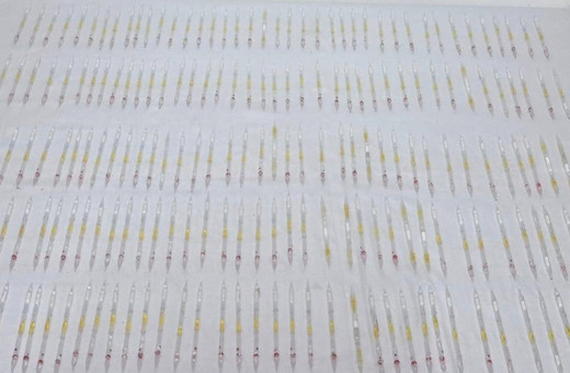 201 tüp kobra yılanı zehri ele geçirildi! Piyasa değerini duyan şoke oldu