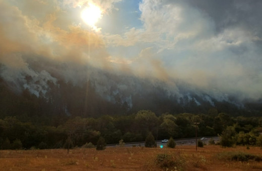 Bolu'daki yangına müdahale sürüyor! Mengen-Devrek kara yolu kapatıldı