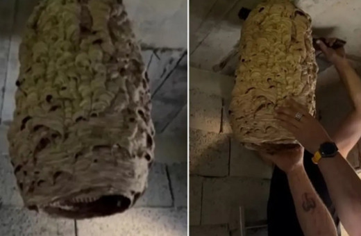 Mahalleli merak etti! Metruk evden çıkan dehşete düşürdü...