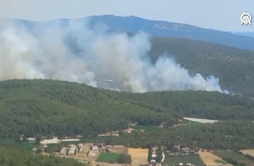 İzmir'de yine yangın çıktı! Tarım alanından ormana sıçradı