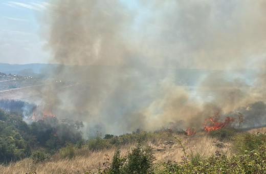 Kocaeli'de yangın çıktı alevler rüzgarın etkisiyle yayıldı!