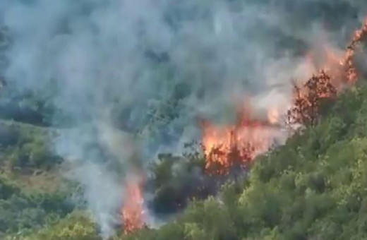 Sarıyer'de korku dolu anlar! Ormanlık alanda çıkan yangına müdahale ediliyor