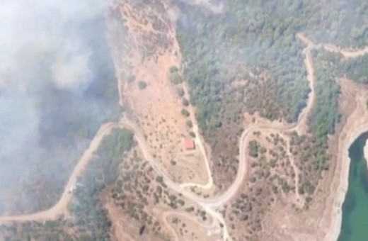 İzmir'de orman yangını çıktı!