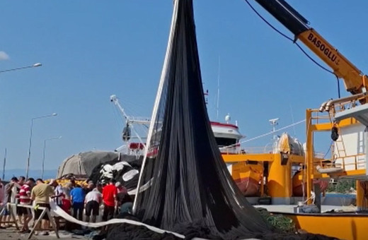 Sinop'ta balıkçılar heyecanlı! "Vira bismillah" demek için gün sayıyorlar...