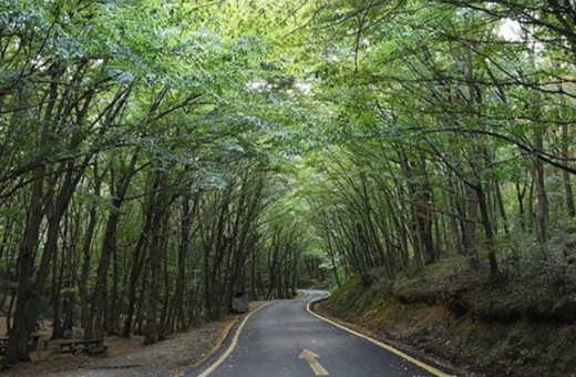 O ilimizde ormanlara giriş yasağı süresi uzatıldı