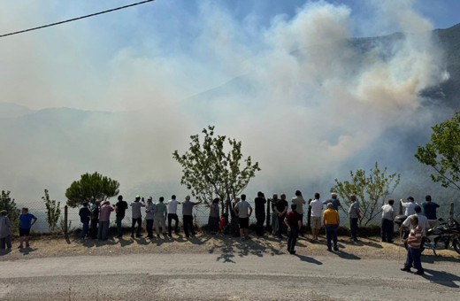 Bartın'da ormanlık alanda yangın! Validen açıklama