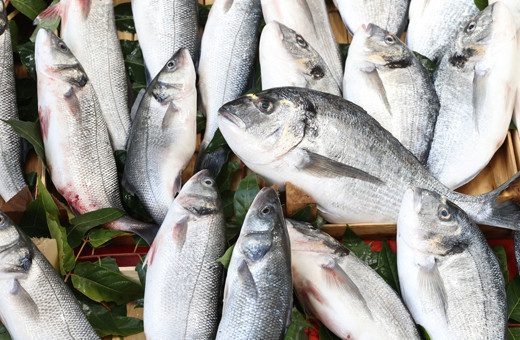 Balık sezonunun açılmasıyla tezgahlar doldu! Fiyatlar cep yakıyor