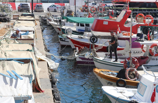 Av yasağı sona erdi! Tekirdağlı balıkçılar ilk ağlarını attı: Limana istavrit ve kolyozla döndü...