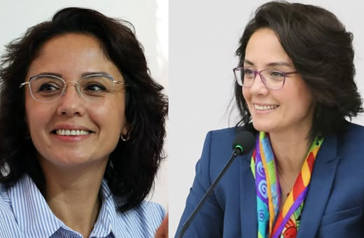 Gonca Köksal Aras'ın akrabasının evine molotoflu saldırıda yeni gelişme