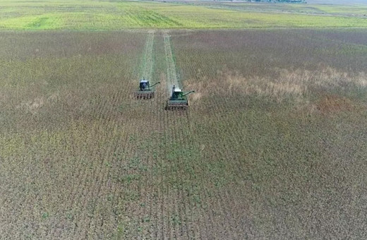 81 ilde hepsi tek tek belirlendi, yeni dönem başlıyor! İlk kiralama tarihi de belli