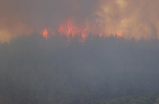 Bursa'da yangın çıktı! Dumandan göz gözü görmüyor