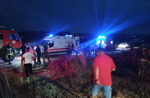 Kestiği ağacın altında kalan kişi öldü