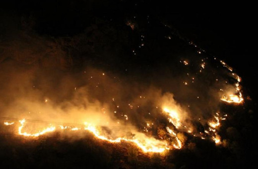 Hakkari'de ormanlık alanda çıkan yangına müdahale sürüyor