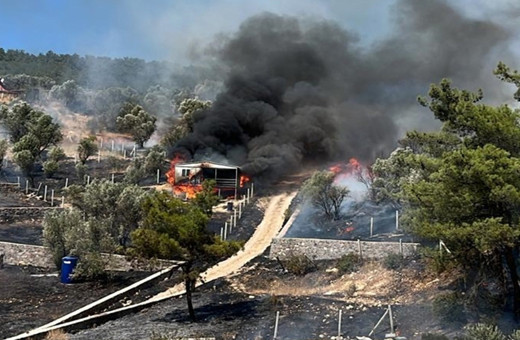 İzmir'de yangın paniği! Alevler ormana sıçradı