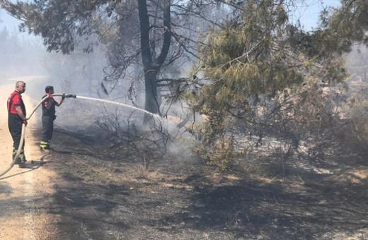 Adana'da orman yangını kontrol altında! Soğutma çalışmaları sürüyor...