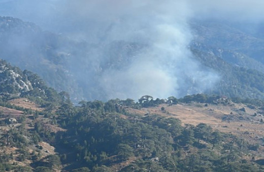 Muğla'nın Köyceğiz ilçesinde korkutan orman yangını