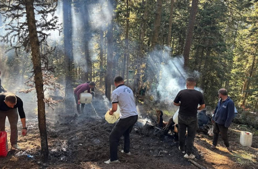 Orman yangınlarıyla mücadele eden gönüllülerin hakları yeniden düzenlendi