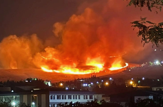 Gaziantep'te çıkan orman yangınında 1 hektar alan zarar gördü