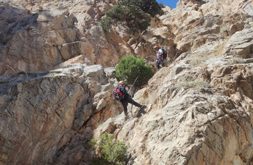 4 gündür haber yoktu! Ot toplamak için çıktığı dağda ölü bulundu