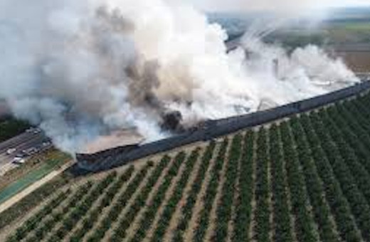 Yürekler ağza geldi! Adana'da çırçır fabrikasının deposu yandı