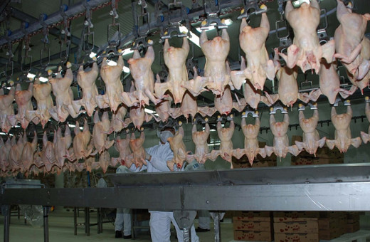 Rekabet Kurulundan Banvit'e dev para cezası