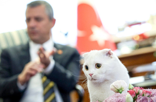 CHP Genel Başkanı Özgür Özel, Zafer ve Mayıs'ı paylaştı!