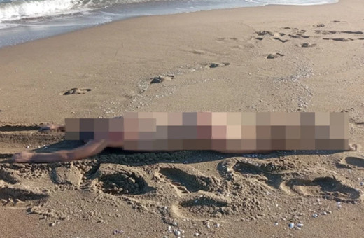 Sakarya'da bir kişi sahilde ölü bulundu